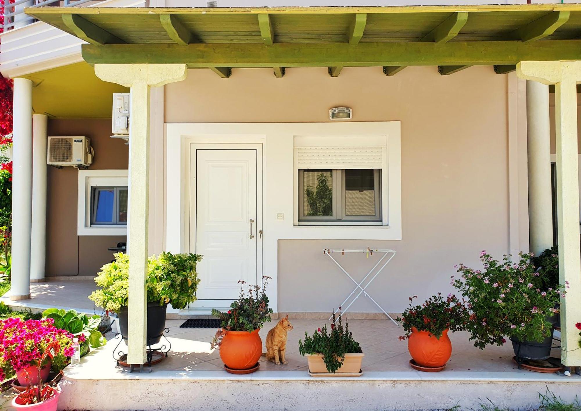 Green Studio Nidri Exterior foto